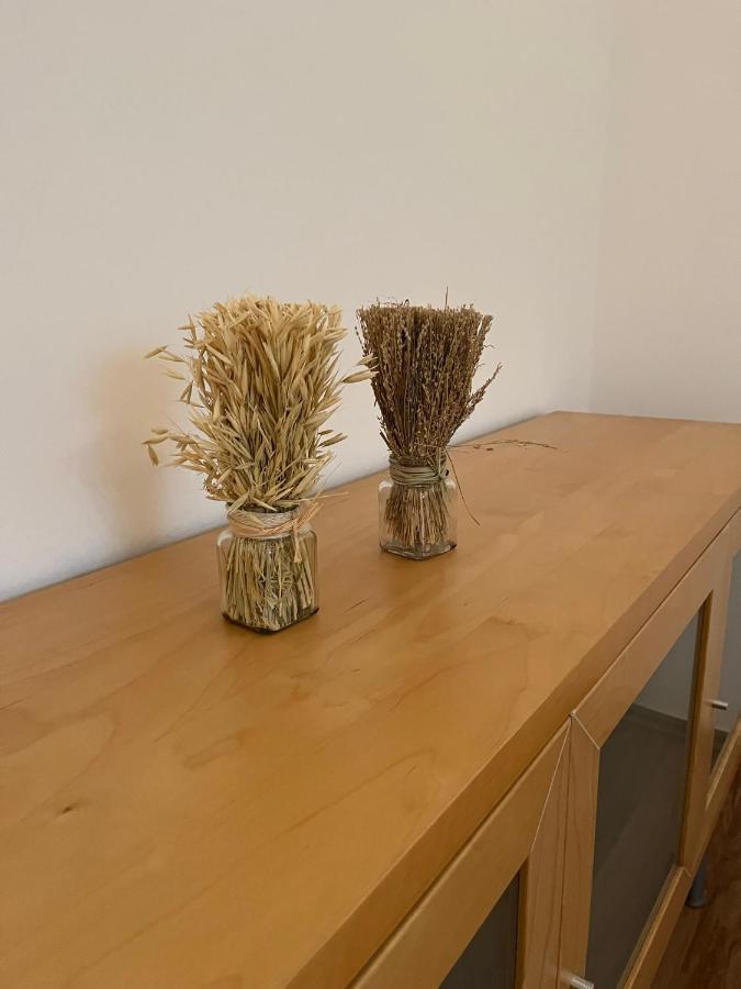 Ferienwohnung Schennach Общайг Екстериор снимка
